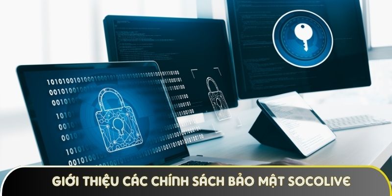 Giới thiệu các chính sách bảo mật Socolive đặt ra